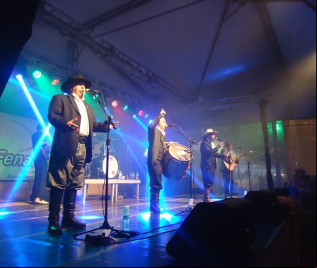 FenaMassa 2013